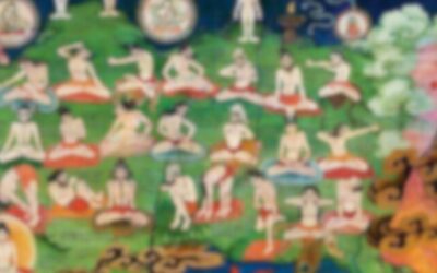 Advanced Practitioner Support Program