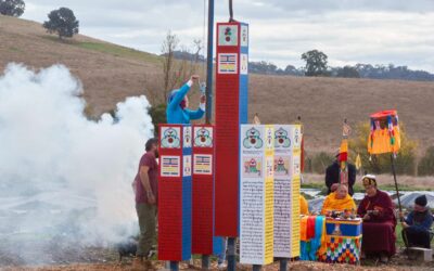 5 meter Drolmi Kazug Fortune Palace